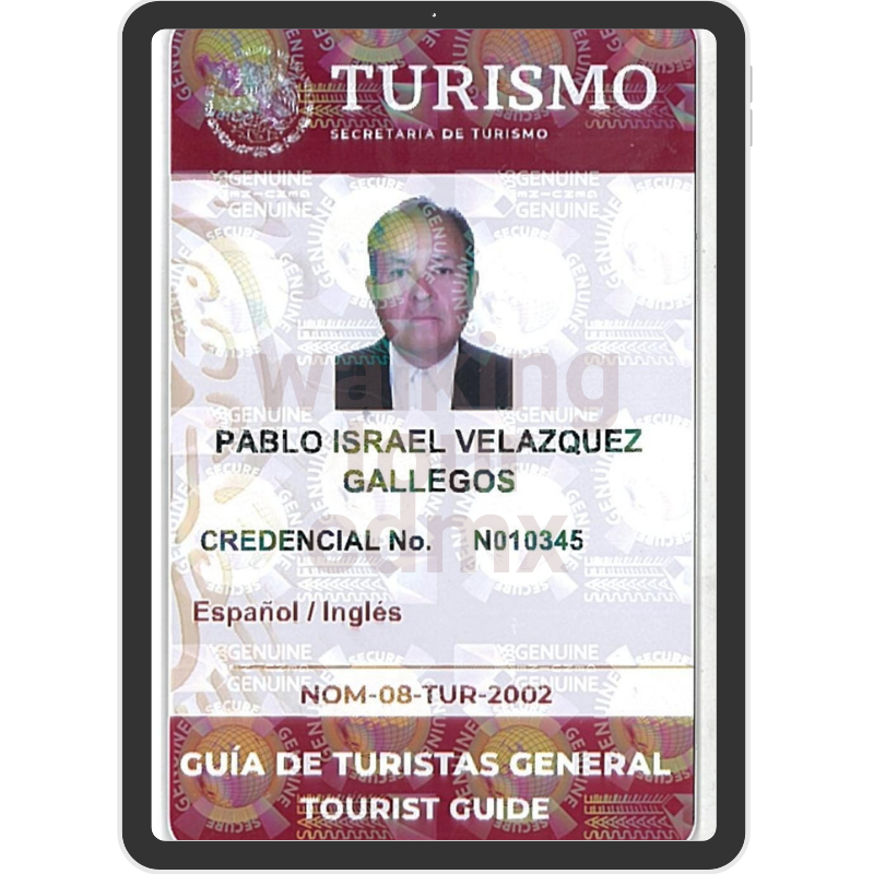 pabloisrael_cursos (2)